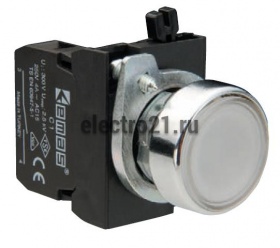 Кнопка нажимная круглая белая CM101DB (2НО) - Купить Кнопка нажимная круглая белая CM101DB (2НО) с доставкой по России. 